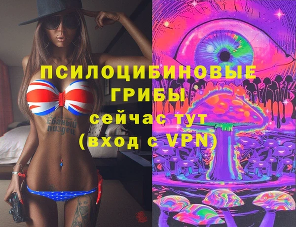 молекула духа Алексин