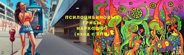 молекула духа Алексин